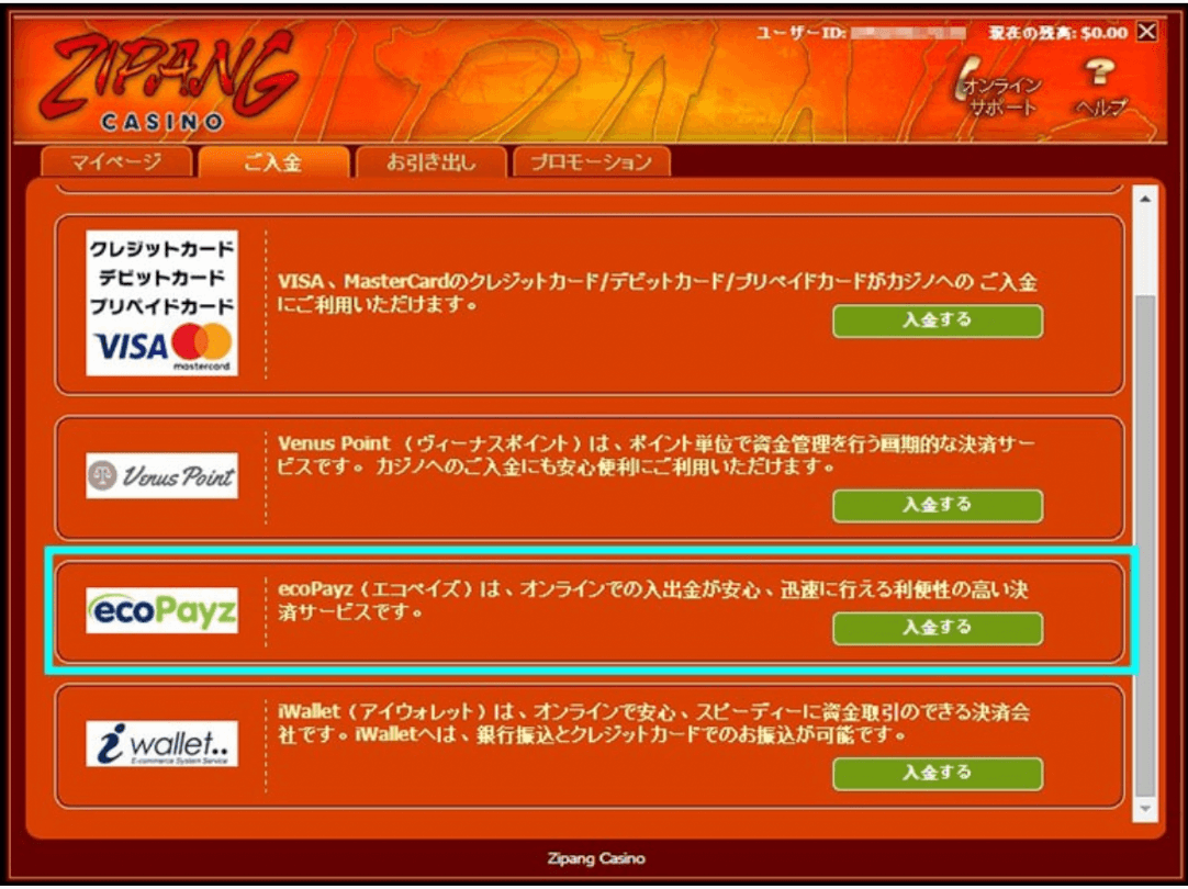 「ecoPayz」のロゴをクリック