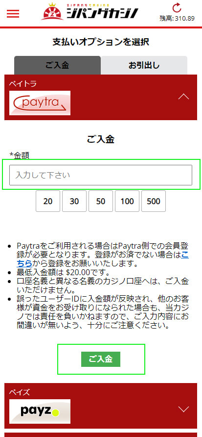 paytra2-2