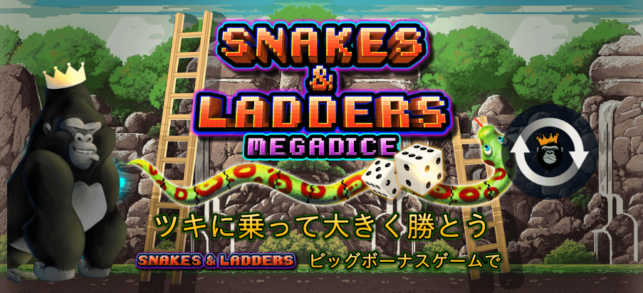 ダイス ルール 画像8